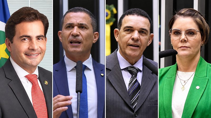 Análise visual sobre deputado federal em Mato Grosso com Fábio Garcia, Coronel Assis, Juarez Costa e Coronel Fernanda.