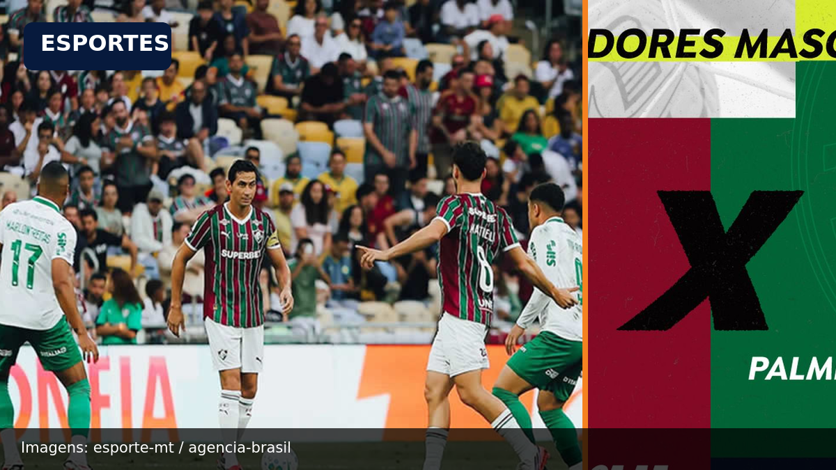 Fluminense x Palmeiras: semifinal da Libertadores