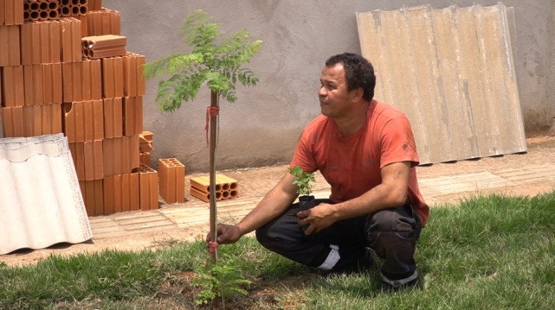 Cultiva Sinop realiza primeiro plantio e leva orientação técnica diretamente à casa dos moradores