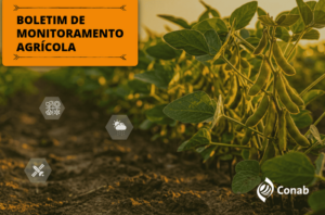 Arte do Boletim de Monitoramento Agrícola, identificada pela Conab.